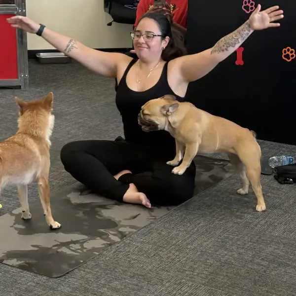 Puppy cuddles during a yoga session